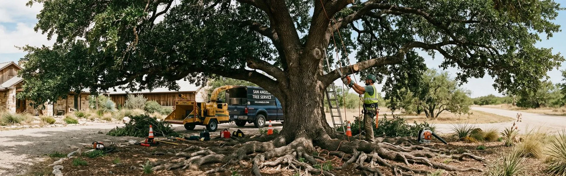 Non-Invasive AirSpade Root Excavation in San Angelo