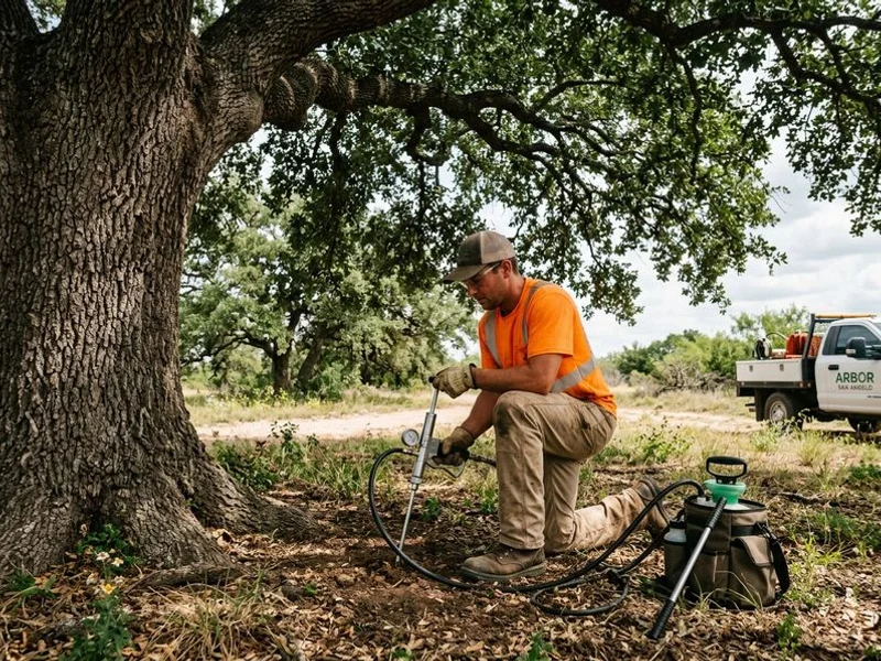 Root Fertilization - Image 2