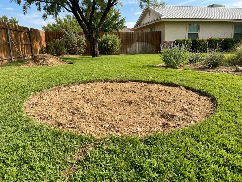 Stump Grinding - Image 3