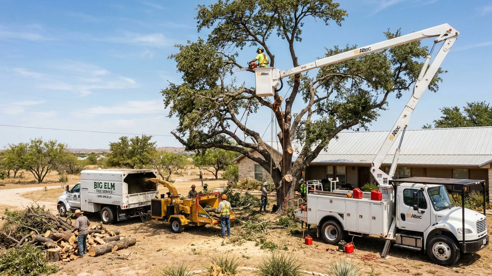 ISA Certified Arborist team performing professional tree removal on a large live oak in San Angelo, Texas