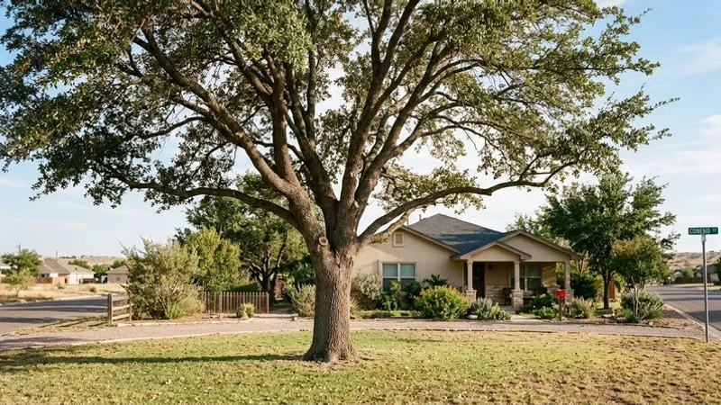 Crown thinning showing before and after canopy density