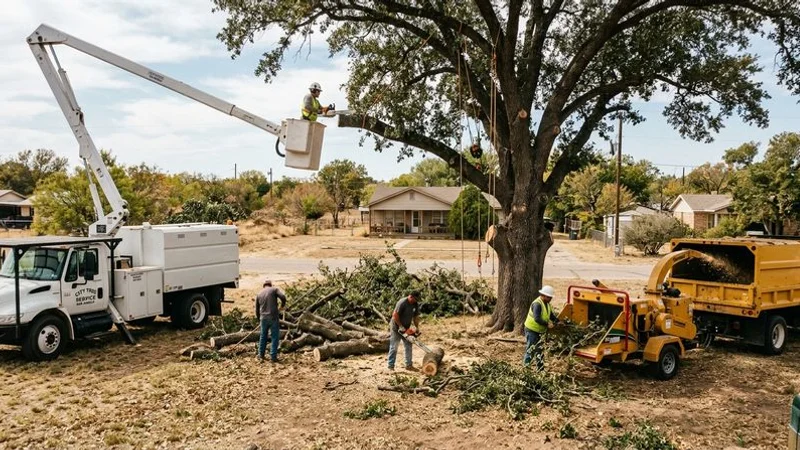 Professional tree removal crew working on a large tree in a San Angelo residential yard
